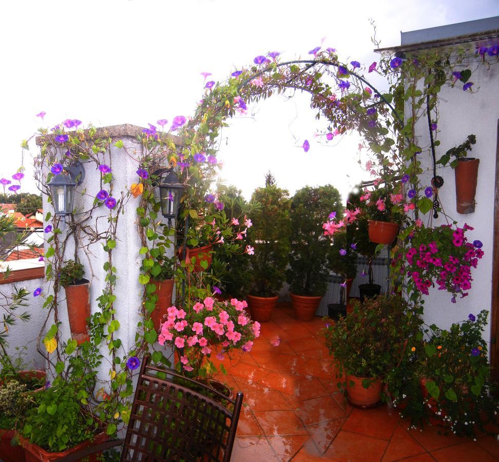 Lucia - Apartments&rooms 3* Slavonski Brod